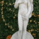 Statua Venere di Botticelli
